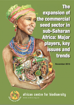 Report from African Centre for Biodiversity uncovers the impact of the commercial seed sector in sub-Saharan Africa